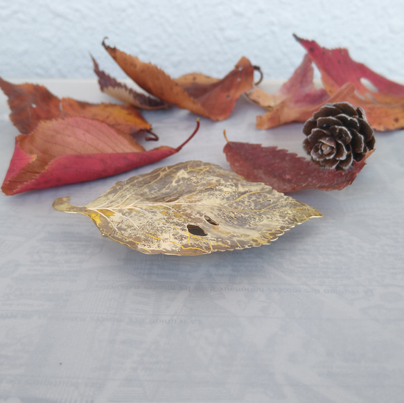 真鍮夕方5時の落葉ヘアクリップ　秋の花 4枚目の画像