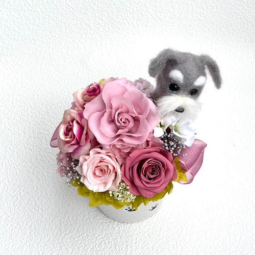 ちょこんと顔出す シュナウザー（右側）＆ プリザーブドフラワー