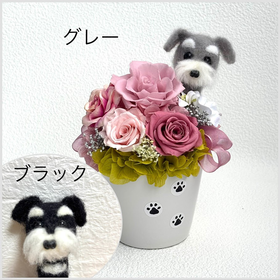 ちょこんと顔出す　シュナウザー（右側）＆　プリザーブドフラワー（くすみピンク色系）　/　羊毛フェルト　シュナ　犬　花