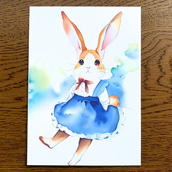 愛麗絲兔之國明信片 2 張 [新年賀卡用] 第1張的照片