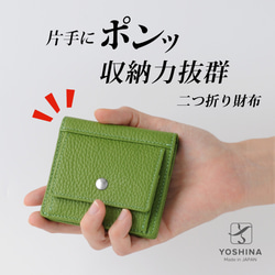 最小レベルでありながら、大容量・丈夫さを両立させてYOSHINA二つ折財布！【グリーン】 1枚目の画像