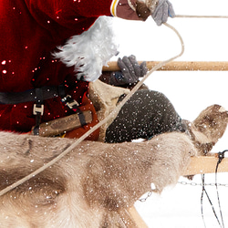 アートポスター クリスマス 北欧風 サンタクロース トナカイ シンプルモダン おしゃれ 3枚セット 5枚目の画像