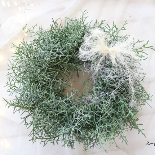 【SALE】ポポラスとブルーアイスのクリスマスリース* * *ラッピング無料 フレッシュブルーアイスのクリスマスリース リース K-FLEUR 通販