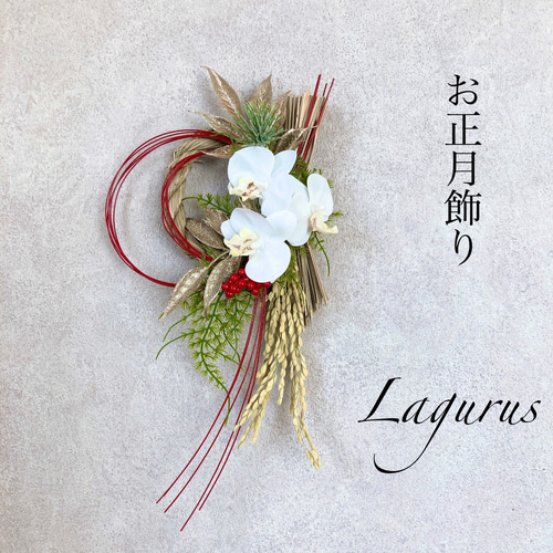 早割お正月2026】胡蝶蘭しめ縄飾り S サイズ K1 お正月飾り しめ縄