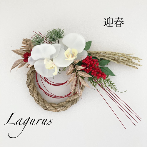 早割お正月2026】胡蝶蘭しめ縄飾り Mサイズ お正月飾り アーティ