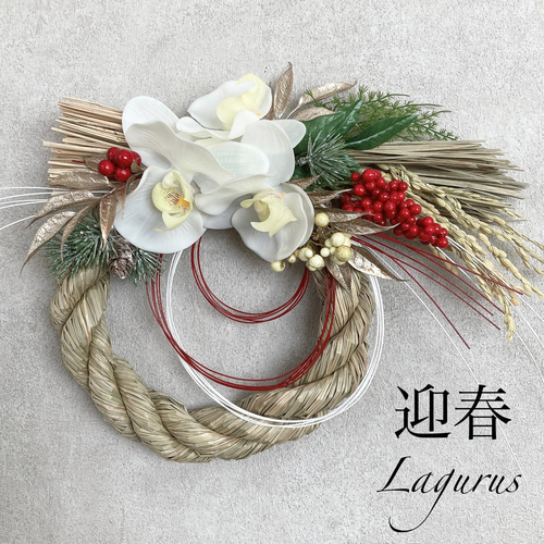早割お正月2026】胡蝶蘭しめ縄飾り Lサイズ お正月飾り アーティ