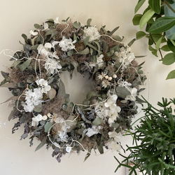 ユーカリ香る紫陽花とリューカデンドロンのリース　ドライフラワー 再販】Dryユーカリandホワイト紫陽花リース ドライフラワー Karan ka