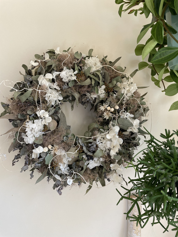 再販】Dryユーカリandホワイト紫陽花リース ドライフラワー Karan ka