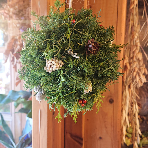 直径約16cm＊クリスマスにも＊ドライフラワーボール ドライフラワー 花