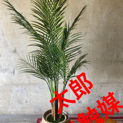 光触媒 人工観葉植物 ウォールグリーン フェイクグリーン コンシンネ