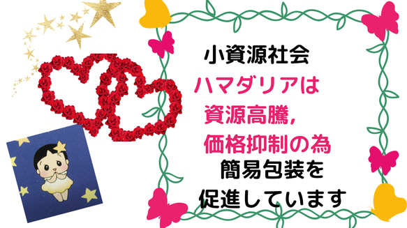 送料無料❗️ヘルシーなオリジナルdahliacake・　　　　　レモンケーキ 11枚目の画像