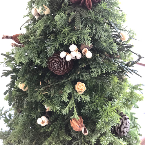 自然素材100％フレッシュ＆ドライフラワー フレッシュグリーンと木の実