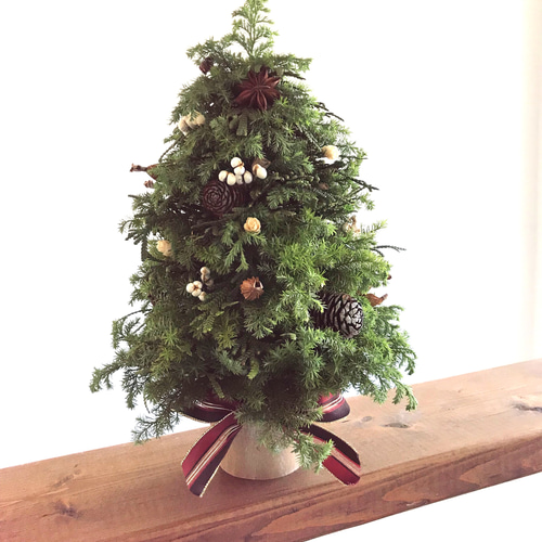 自然素材クリスマスツリー 自然素材100％フレッシュ＆ドライフラワー フレッシュグリーンと木の実