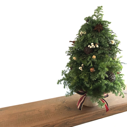 自然素材クリスマスツリー 自然素材100％フレッシュ＆ドライフラワー フレッシュグリーンと木の実