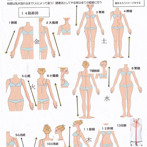 贈り物 手根・足根療法 超簡単 図の手足に銅・アルミコイルを置くだけ ビジネス・経済
