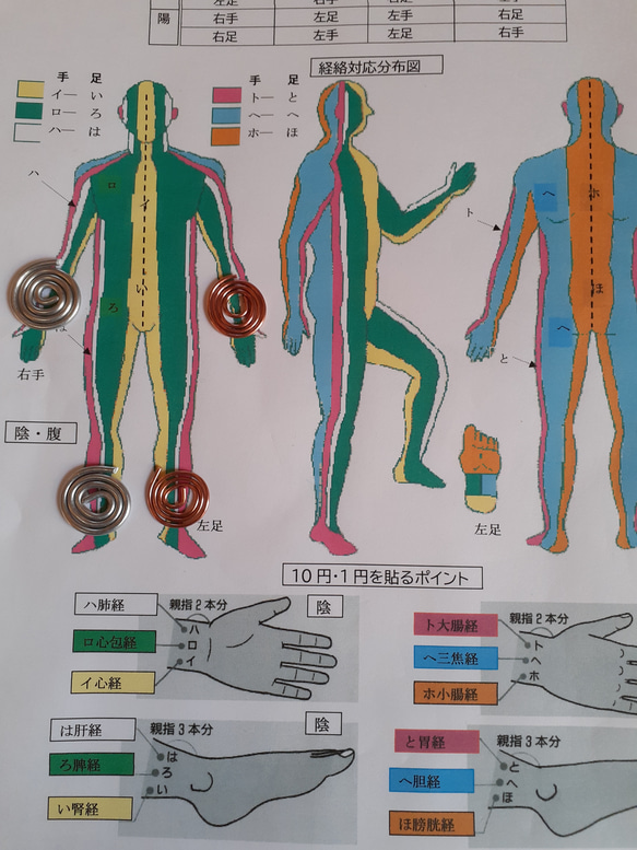  第5張的照片