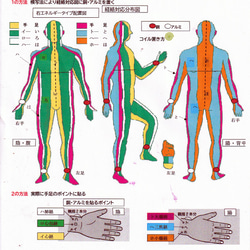  第1張的照片