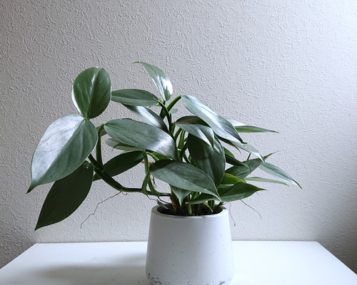 3263a881e9fe8e54384ca64481ed60