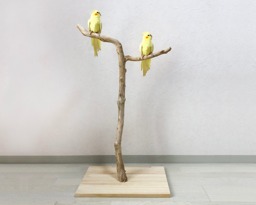 流木　止まり木　約82センチ 流木の止まり木】高さ約82cm！鳥 インコ 使いやすい2又の止まり