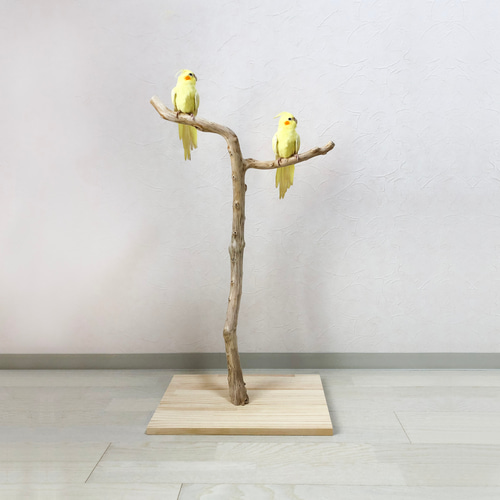 保障できる 流木の止まり木】高さ約82cm！鳥 インコ 使いやすい2又の止まり その他