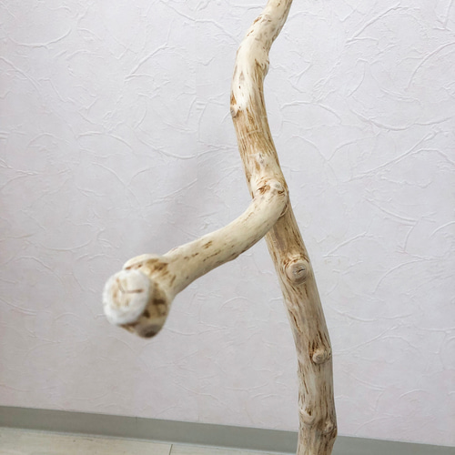 流木　止まり木　約82センチ 流木の止まり木】高さ約82cm！鳥 インコ 使いやすい2又の止まり