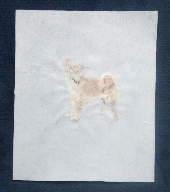 柴犬の刺繍　犬　リアル　フレーム 14枚目の画像