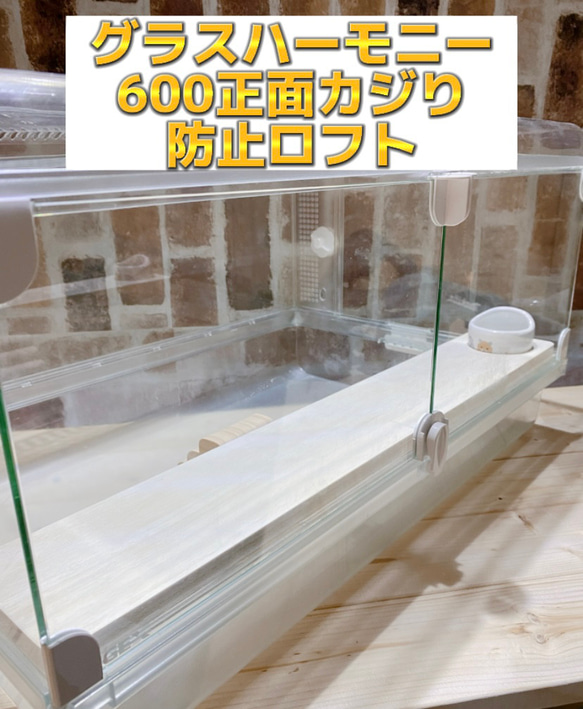 グラスハーモニー600専用正面カジり防止ロフト 階段付き ハウス グラスハーモニー600専用正面カジり防止ロフト 階段付き ハウス