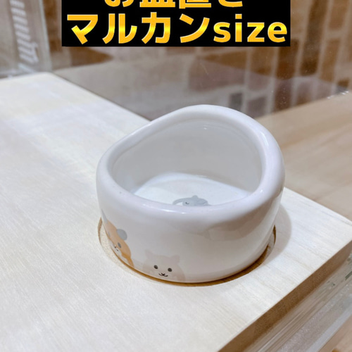 グラスハーモニー450専用正面カジり防止ロフト 階段付き ハウス