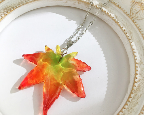 ed8bb694e0cd8d6be0c1fd150e1a85