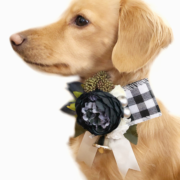犬猫チョーカー 黒シルバーリボン 小型犬 ペット アクセサリー プレゼント 4枚目の画像