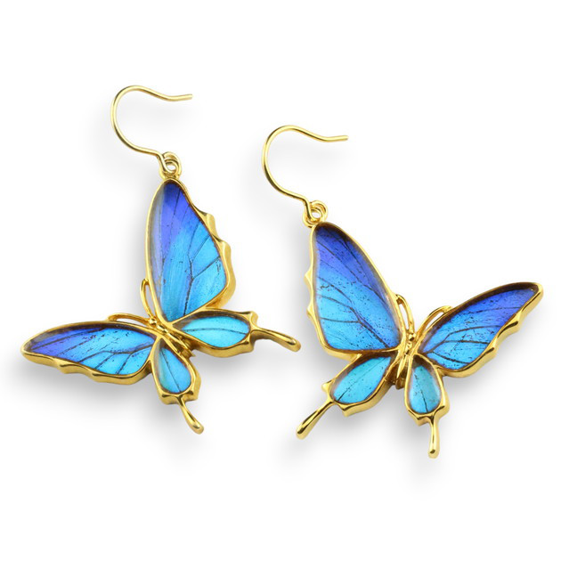本物の蝶の羽　舞蝶ピアス　片耳販売　タミラスムラサキシジミ　[zps032g-thamy]