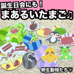 大人気！誕生日会出し物にも！まあるいたまご♫ラミネート