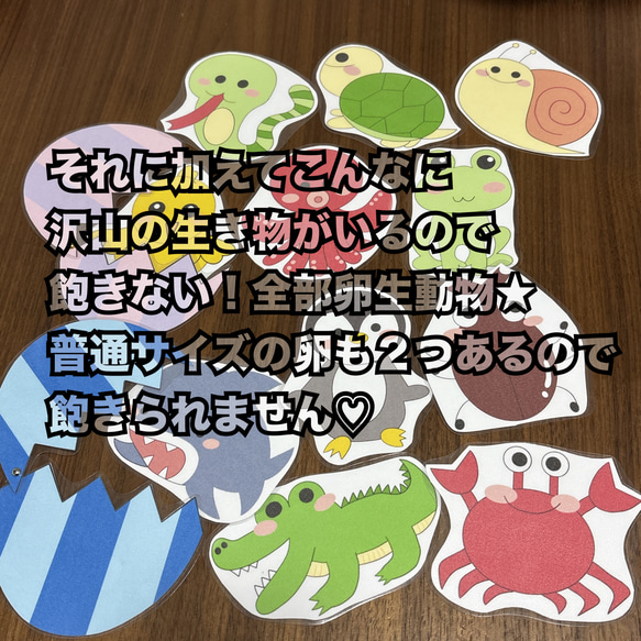 大人気！まあるいたまご♫ラミネートシアター♡ペープサート♡保育　保育教材 出し物 4枚目の画像