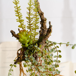 【送料込み】HANAYUKI フェイクグリーン 着生植物 アレンジメント 吊り下げ ハンギング 48cm 光触媒加工 3枚目の画像