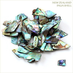 再入荷★アバロンシェル チップ 20g 素材 ニュージーランド産 パウア貝 天然 ビーチ 海　貝がら 1枚目の画像