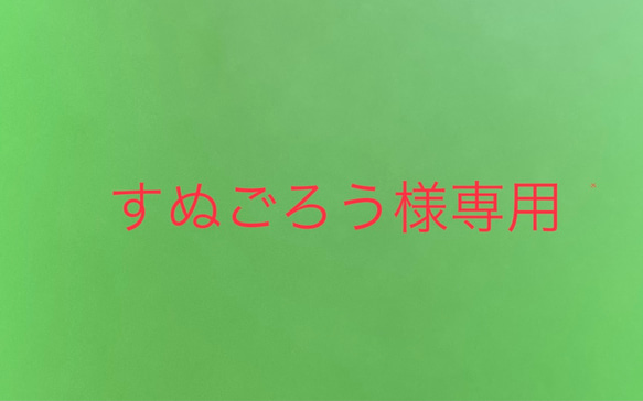 すぬごろう様専用オーダーバック等 1枚目の画像