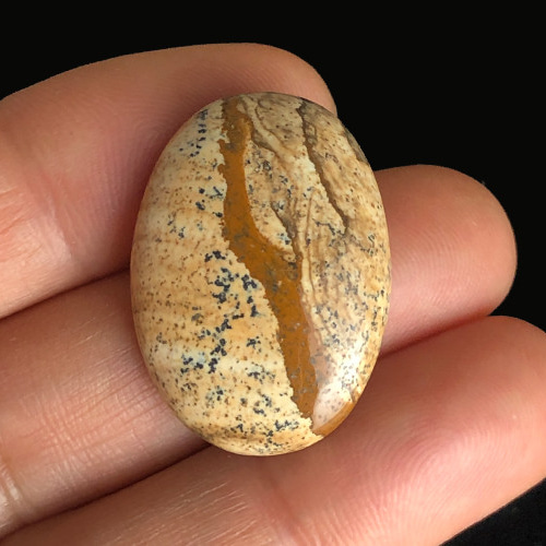 希少な逸品✨️デンドリティックピクチャージャスパー(ピクチャージャスパー)✨️ 希少な逸品✨️デンドリティックピクチャージャスパー