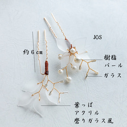  第12張的照片