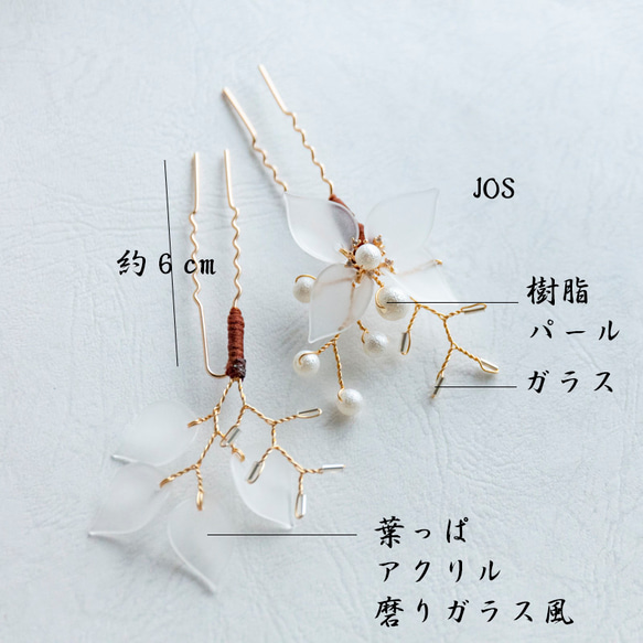  第12張的照片