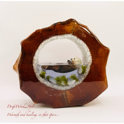 一つ限りの流木アート 海に浮かぶラッコ ジオラマ 流木 フィギュア 置物 インテリア レジン テラリウム 生き物 N3 1枚目の画像