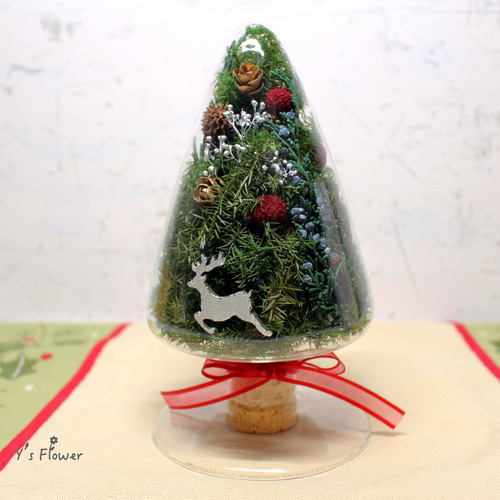 シードボトルのクリスマスツリー プリザーブドフラワー Y's Flower