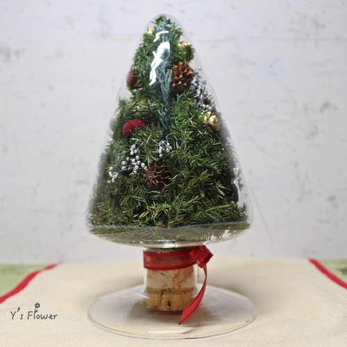 シードボトルのクリスマスツリー プリザーブドフラワー Y's Flower