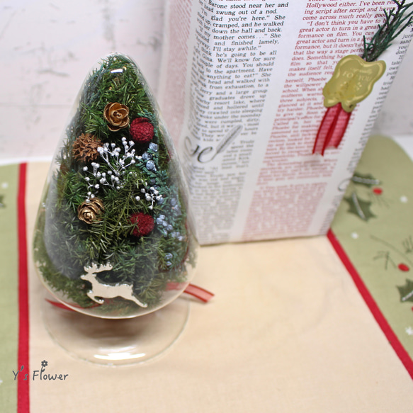シードボトルのクリスマスツリー 2枚目の画像