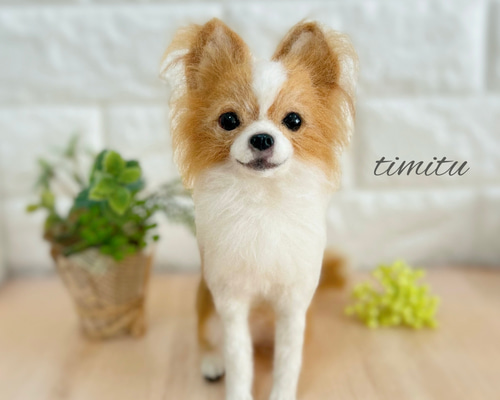 ★ゆん★羊毛フェルト【チワワ×パピヨン MIX犬】オーダー　メモリアル ◇こちらはサンプル画像になります◇羊毛フェルト♡ 愛犬 オーダー