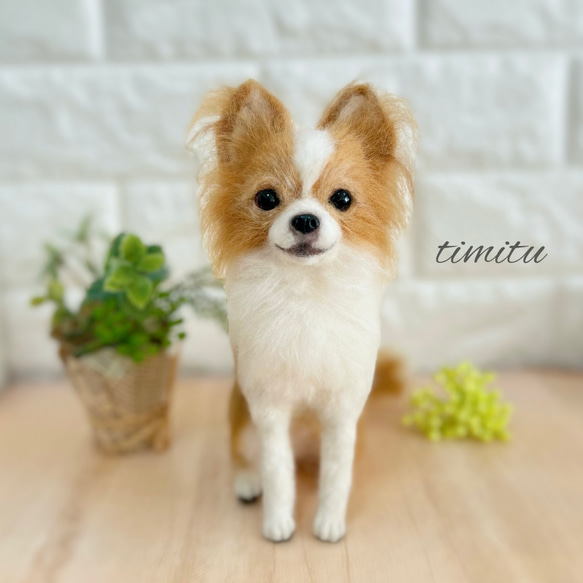 羊毛フェルト犬 ちろ Needle Felting Kit | Shih-tzu Dog - YouTube