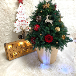 小さなクリスマスツリー緑*プリザーブドフラワー*真鍮*ドライフラワー 超早割クリスマス2025 プリザーブドドライフラワー キラキラのトナカイ