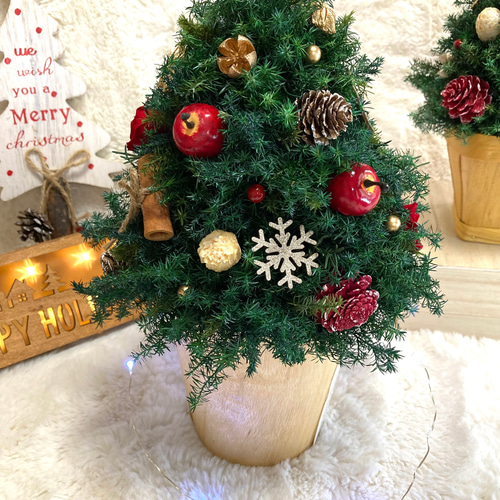超早割祭2024 早割クリスマス2024 プリザーブドドライフラワー