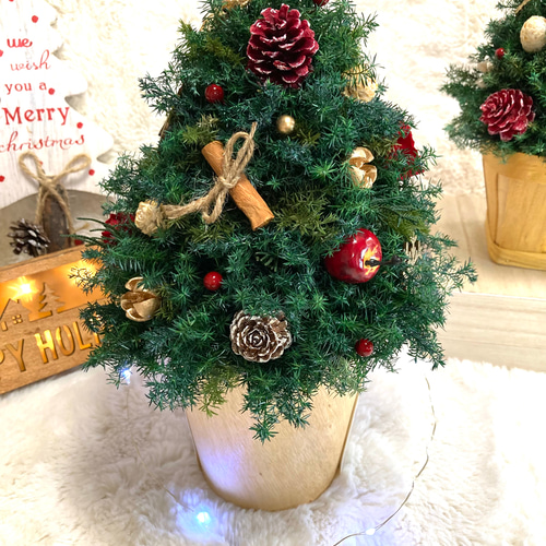 小さなクリスマスツリー白*プリザーブドフラワー*真鍮*ドライフラワー 楽天市場】クリスマス ツリー 花ドライフラワー 卓上 ミニツリー