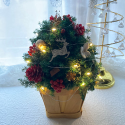 早割クリスマス2023 creema プリザーブドフラワーキラキラのトナカイに木の実 卓上クリスマスツリーLEDライト 6枚目の画像
