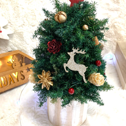 早割クリスマス2023 creema限定 プリザーブドドライフラワーキラキラのトナカイに木の実 卓上クリスマスツリー 2枚目の画像